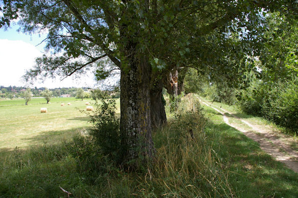 Le chemin au bord de la Saune vers Salsas