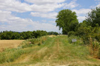 Le chemin au bord de la Saune au niveau de la traverse de la D57