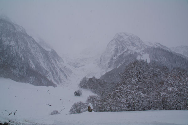 Le vallon du ruisseau de Venasque depuis l_Hospice de France