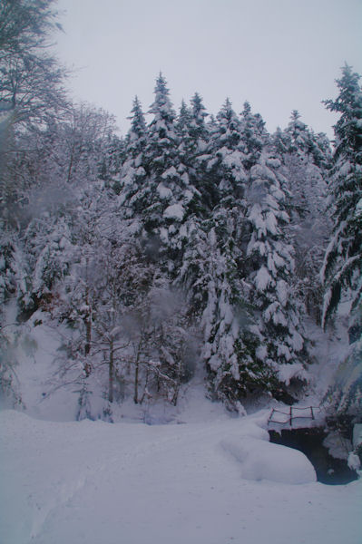 Le petit pont sur le ruisseau de Layrous