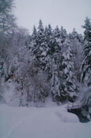 Le petit pont sur le ruisseau de Layrous