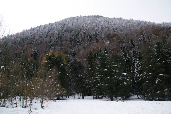 Le Bois de Lits de Torte