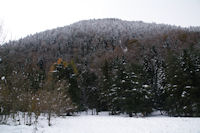 Le Bois de Lits de Torte