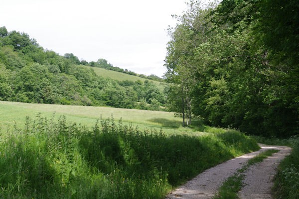 Le chemin remontant les Coumres