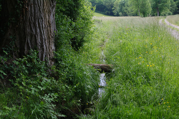 Le ruisseau de Lasbats