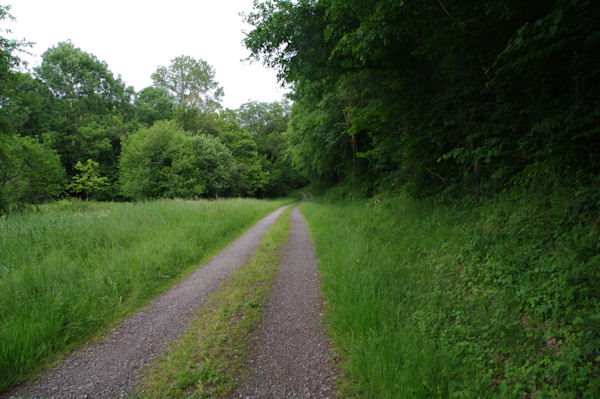 Le chemin vers le Moulin de Gouerris