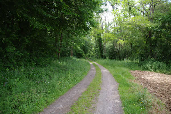 Le chemin vers le Moulin de Gouerris