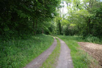 Le chemin vers le Moulin de Gouerris