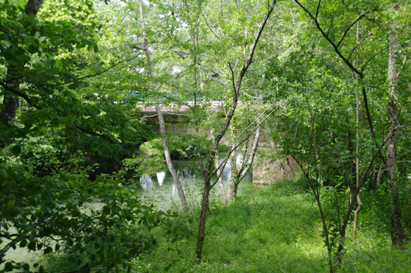 Le pont de la D9 sur la Save