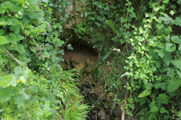 La source du ruisseau souterrain de Lespugue