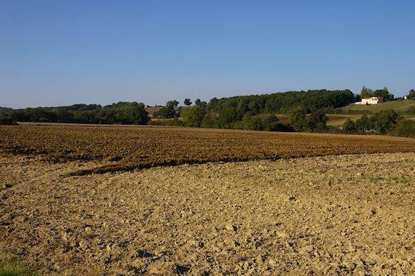 La plaine  Riou Tort