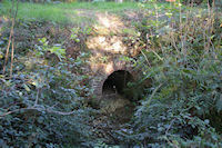 Un petit pont sous Le Pequer