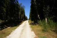 La Foret de Lahage vers La Redaou