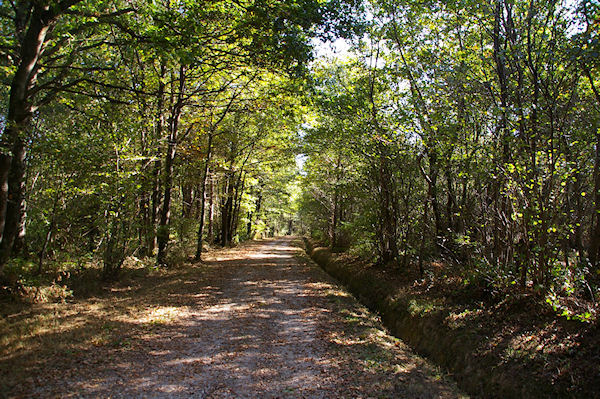 Le GR86 dans le Bois de La Rdaou