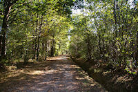 Le GR86 dans le Bois de La Redaou