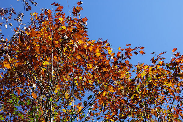 De la couleur vers le ruisseau de La Rdaou