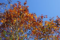 De la couleur vers le ruisseau de La Rdaou