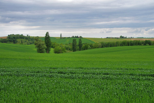 Le verts vallon du Besset