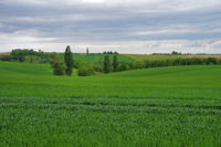 Le verts vallon du Besset