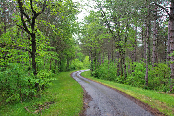 Le chemin entre Charlot et Le Martinet