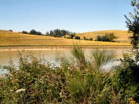 Lac du Laragou, rive sud