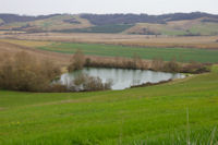 Un laquet sous Bernes