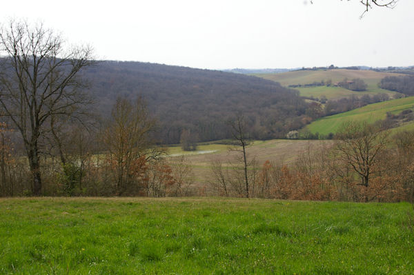 Un laquet sur le ruisseau de Monsenac ou de Sajas