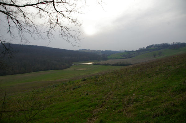 Un laquet sur le ruisseau de Monsenac ou de Sajas