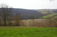 Un laquet sur le ruisseau de Monsenac ou de Sajas