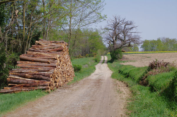 Le GR86 entre Le Sarrot et La Coumre