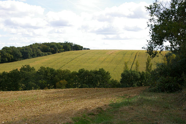 Paysage d'automne vers Larroud