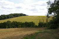 Paysage d'automne vers Larroude