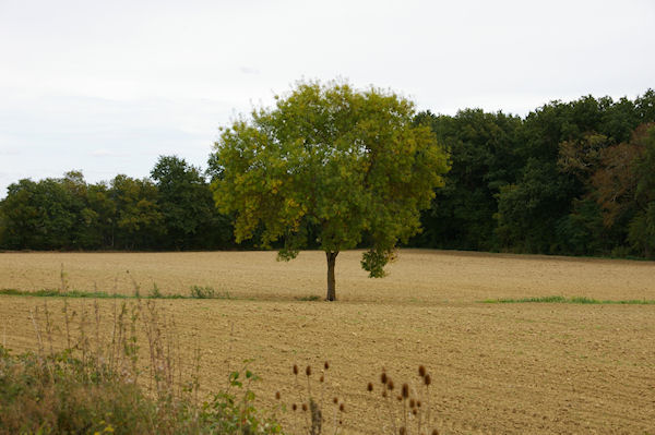 Paysage au Dreuil sur le GR86