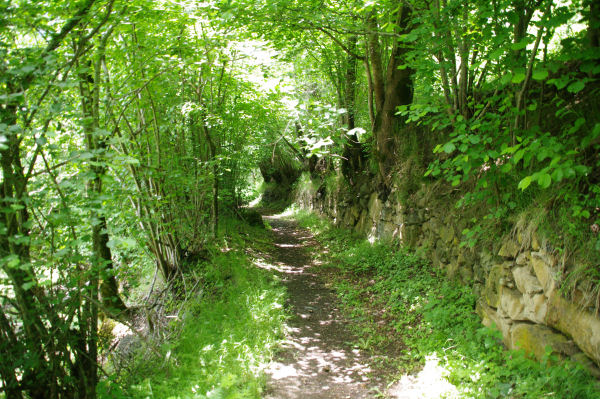 Le sentier menant  Bernet