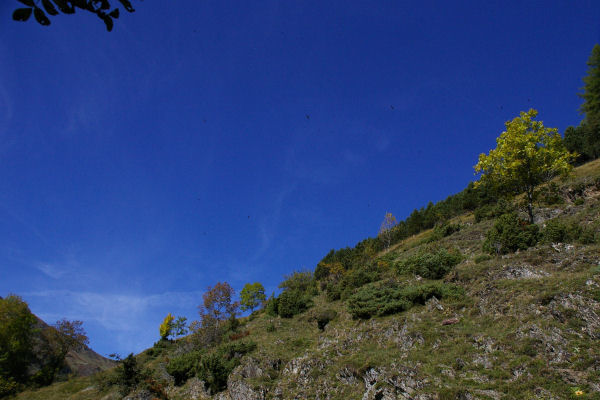 Monte vers le vallon de Colantique