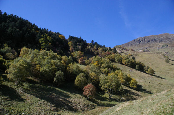 Bois sous la Coste Hort