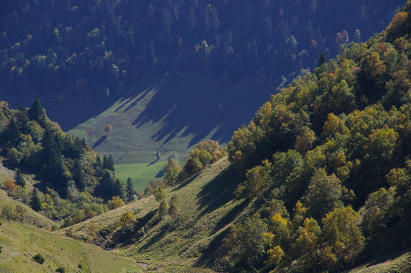 Le vallon du ruisseau de Colantique