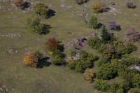 Quelques arbres couleur automne au dessus de Bourg d'Oueil