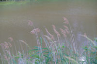 Sur le Canal du Midi vers Lamarasse