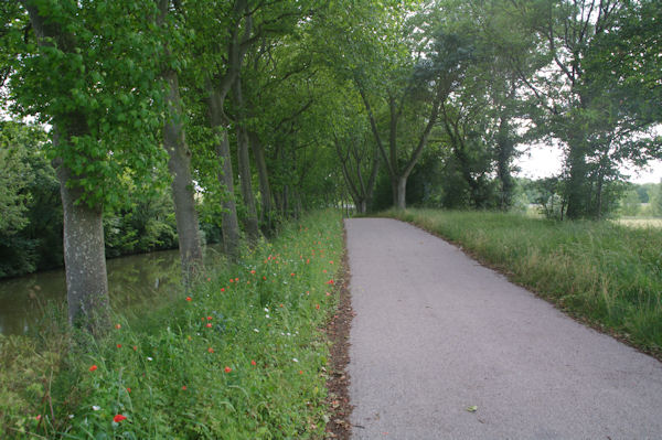 Sur le Canal du Midi vers Lamarasse