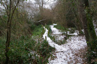 Le chemin sous La Bourdasse