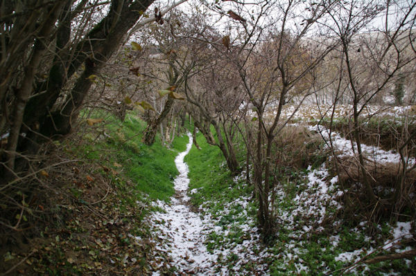 Le sentier descendant vers La Bofe