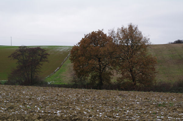 Le vallon du ruisseau de la Boytouse