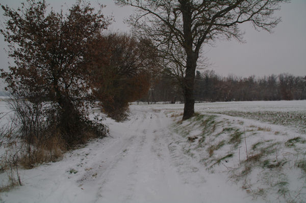 Le chemin vers Lasbordes