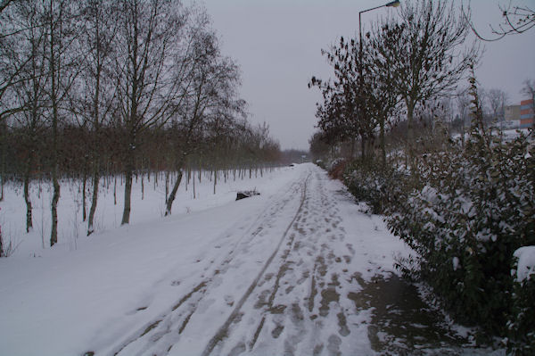 Au Parc de la Plaine