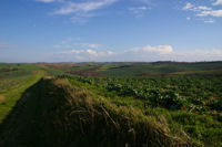 La campagne lauragaise vers la ferme Laborie