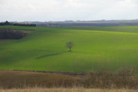 Couleurs printanieres vers la ferme Nauzelayrou