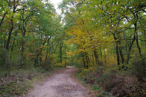 En fort de Buzet vers Ticol de Lvade