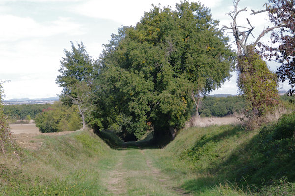 Le chemin aprs les Terraillous