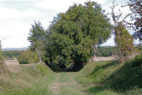 Le chemin aprs les Terraillous